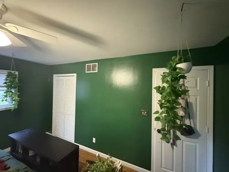 Bedroom painted rich green with white doors — MG Barillas Painting